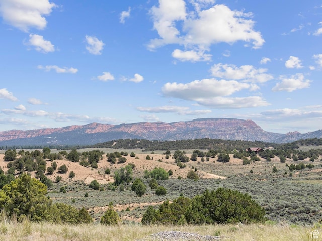 view of mountain feature