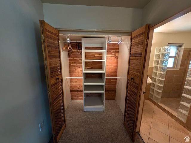 1235 E 820 N, Provo, UT 84606 - view of closet