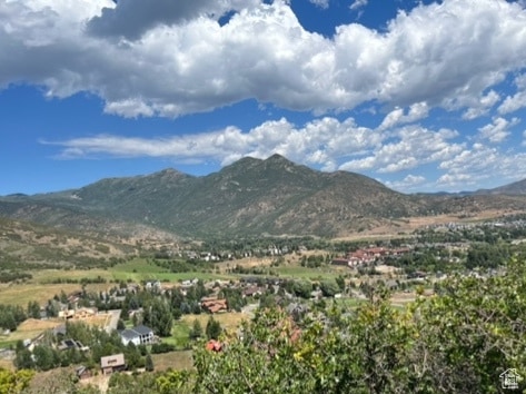 Unit 41, Midway, UT 84049