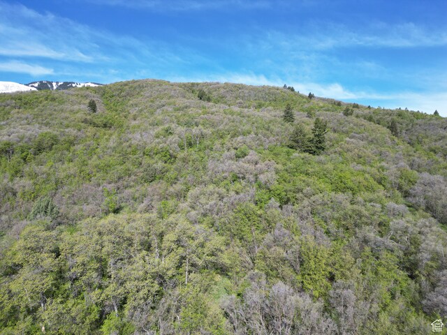 4601 N 2900 E, Liberty, UT 84310 - photo 4