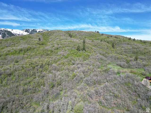 4601 N 2900 E, Liberty, UT 84310 - photo 2