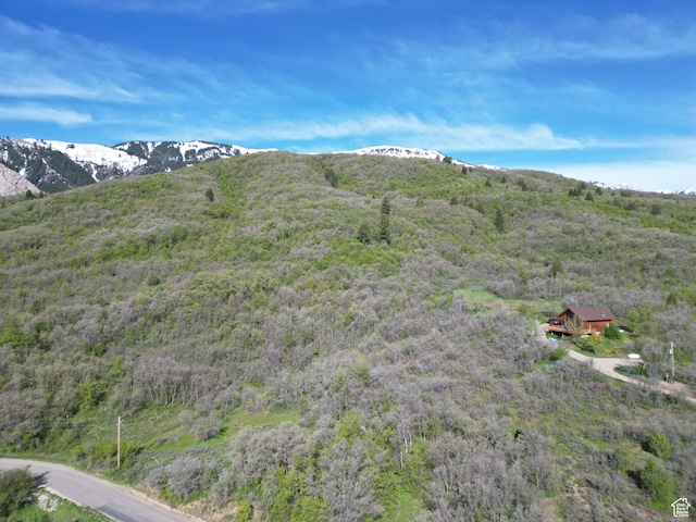 4601 N 2900 E, Liberty, UT 84310 - photo 5