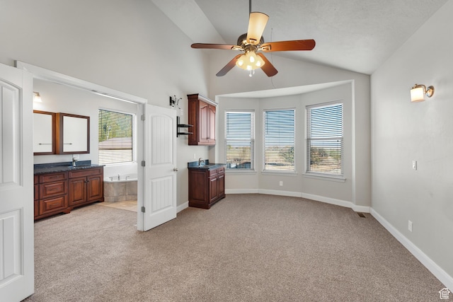 885 S Southflat Rd, Huntington, UT 84528 - interior space featuring sink, lofted ceiling, plenty of natural light, and ceiling fan