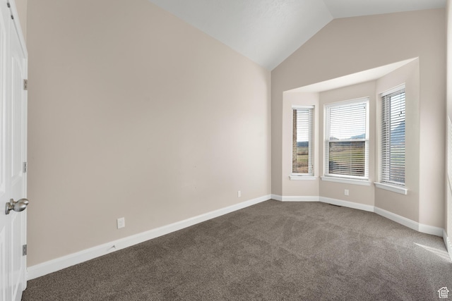 885 S Southflat Rd, Huntington, UT 84528 - carpeted spare room featuring vaulted ceiling