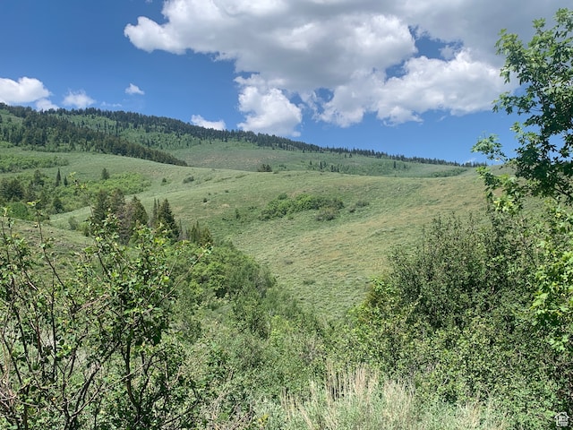 516 Cold Springs Dr Unit 383, Fish Haven, ID 83287