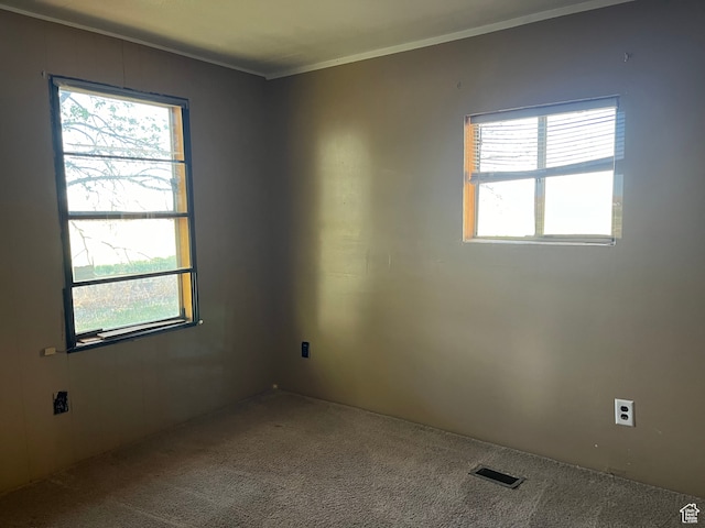 2518 S 1500 E, Ballard, UT 84066 - empty room featuring carpet floors and crown molding