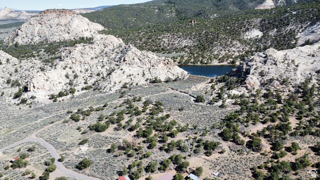 630 E Bullberry Ln, Teasdale, UT 84773 - photo 65