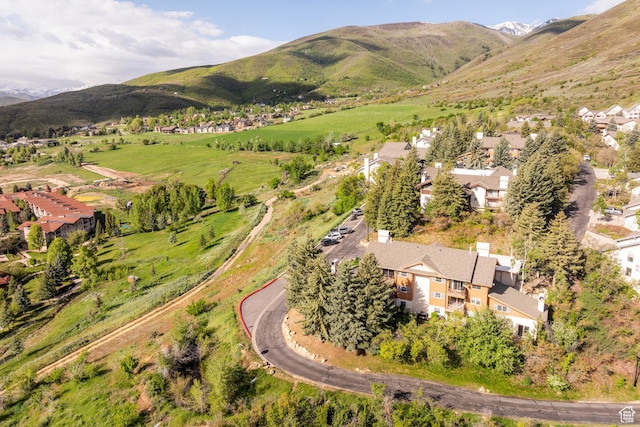 874 Schneitter Cir Unit 1, Midway, UT 84049