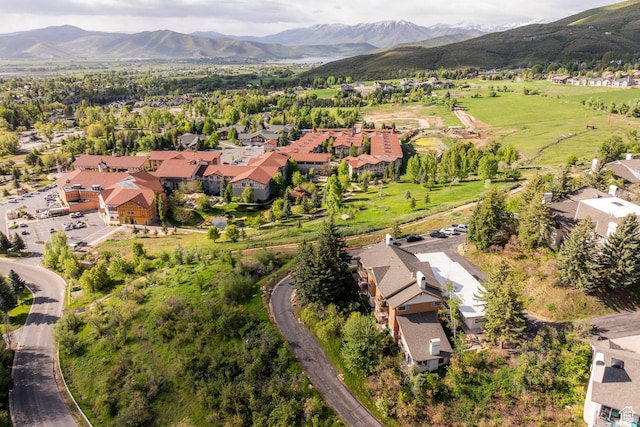 874 Schneitter Cir Unit 1, Midway, UT 84049