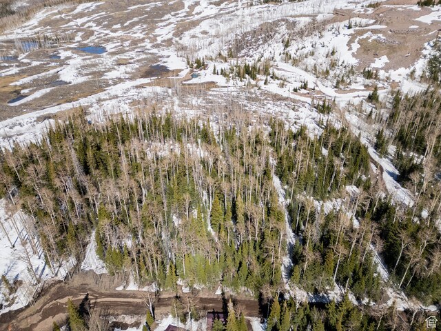 Brian Head, UT 84719