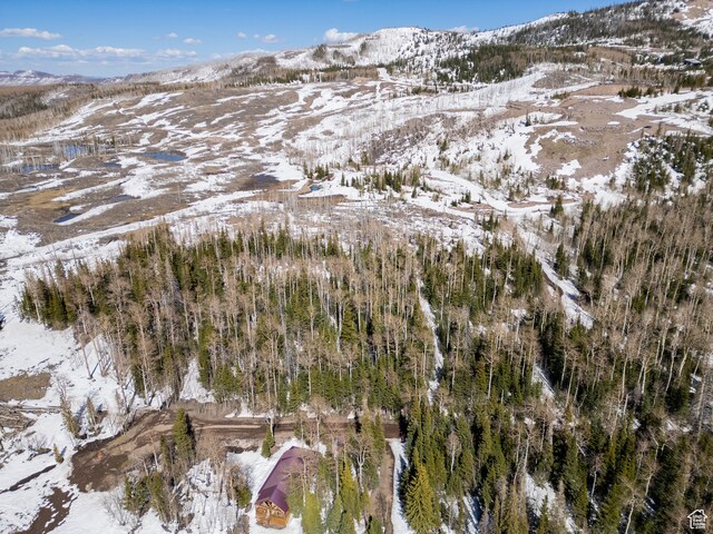 Brian Head, UT 84719
