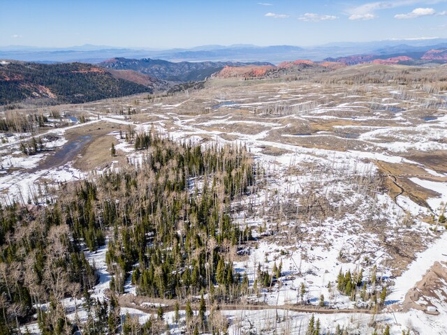 Brian Head, UT 84719