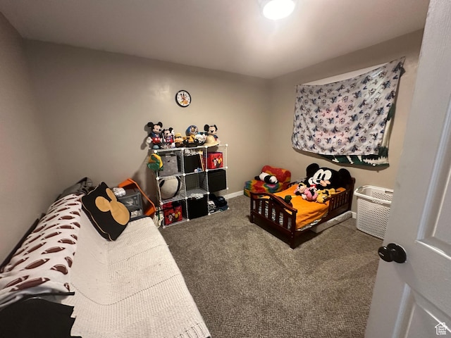 1254 N 800 W, Provo, UT 84604 - bedroom with carpet