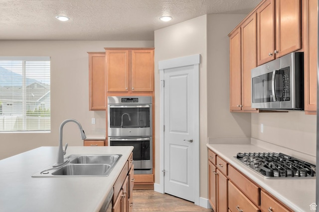 93 E 425 N, Vineyard, UT 84059 - kitchen with a textured ceiling, wood finished floors, light countertops, a sink, and stainless steel appliances