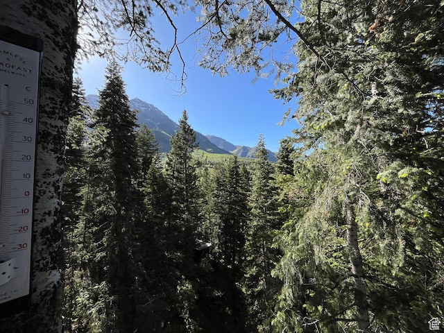 3009 E Black Forest Rd, Sundance, UT 84604 - view of nature featuring a mountain view