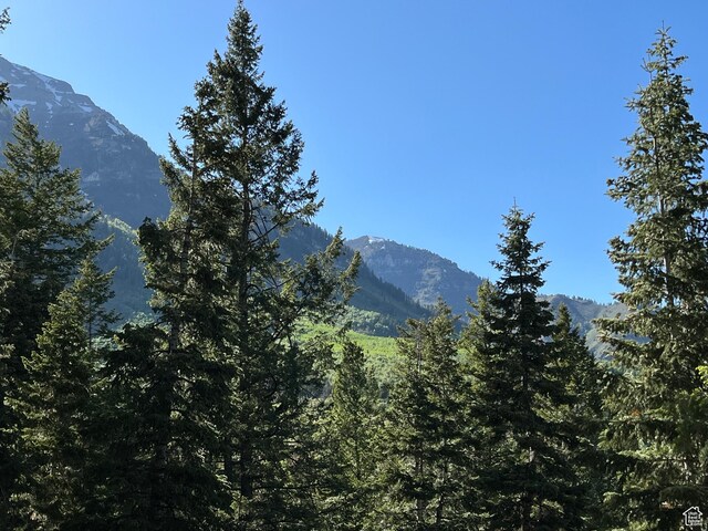 3009 E Black Forest Rd, Sundance, UT 84604 - view of mountain feature