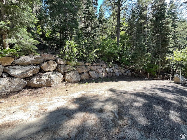 3009 E Black Forest Rd, Sundance, UT 84604 - view of yard