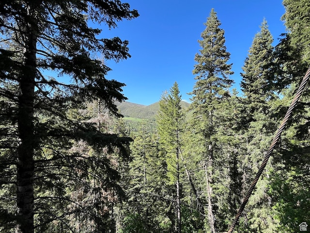 3009 E Black Forest Rd, Sundance, UT 84604 - view of mountain feature