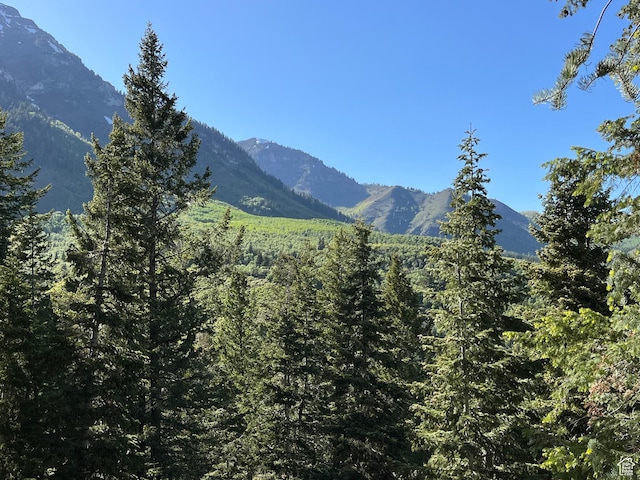 3009 E Black Forest Rd, Sundance, UT 84604 - mountain view