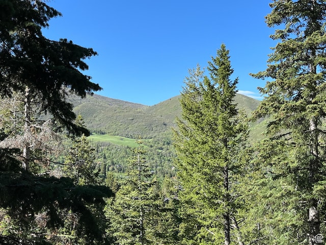 3009 E Black Forest Rd, Sundance, UT 84604 - property view of mountains