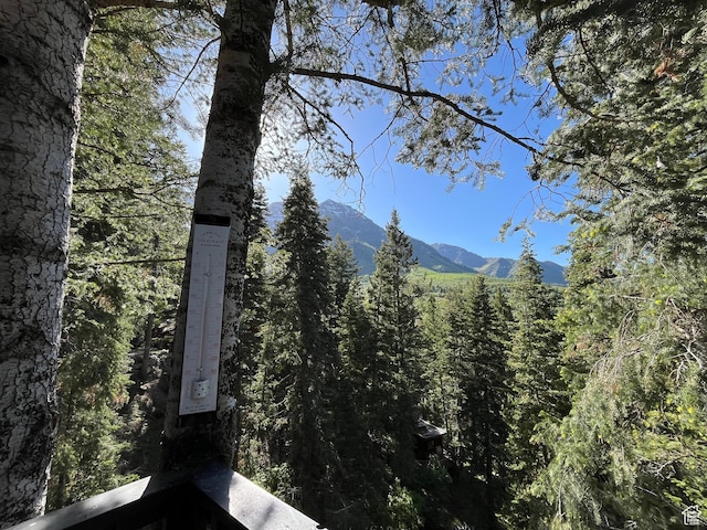 3009 E Black Forest Rd, Sundance, UT 84604 - property view of mountains