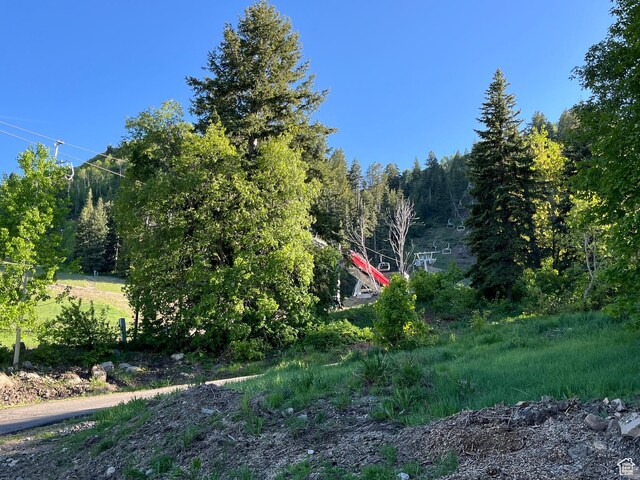 3009 E Black Forest Rd, Sundance, UT 84604 - view of landscape