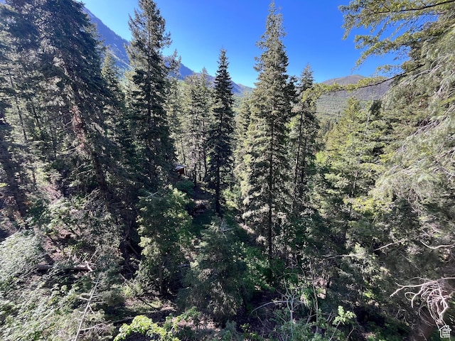 3009 E Black Forest Rd, Sundance, UT 84604 - mountain view