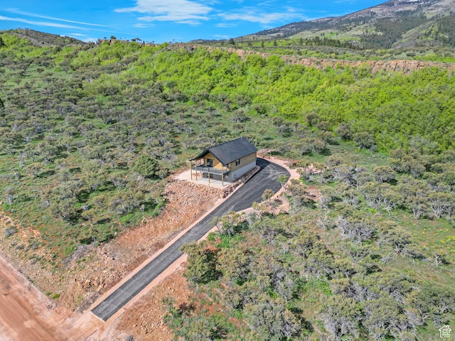 999 Cisco Run, Garden City, UT 84028 - view of subject property featuring a forest and a mountain backdrop