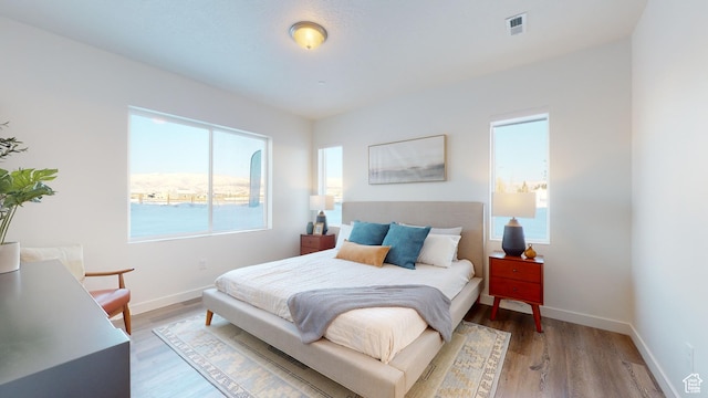 bedroom featuring wood-type flooring