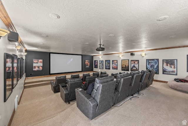 14234 S Canyon Vine Cv E, Draper, UT 84020 - carpeted cinema with a textured ceiling and crown molding