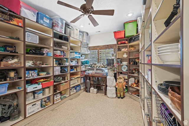 14234 S Canyon Vine Cv E, Draper, UT 84020 - storage area with ceiling fan