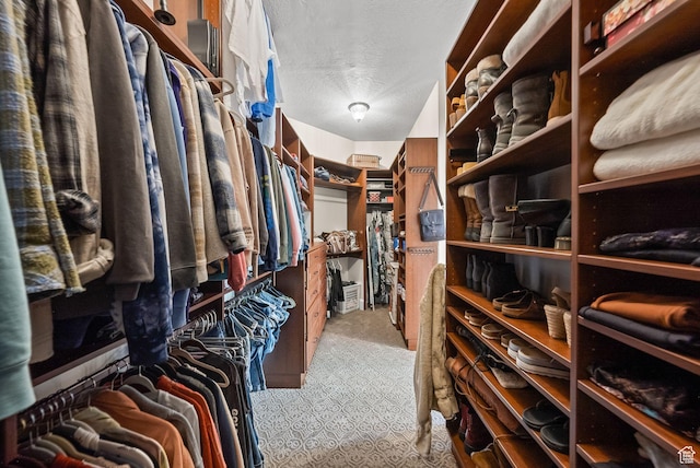 14234 S Canyon Vine Cv E, Draper, UT 84020 - view of spacious closet