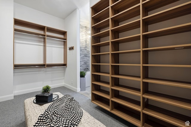 940 S N View Cir Unit 12, Woodland Hills, UT 84653 - walk in closet with carpet flooring