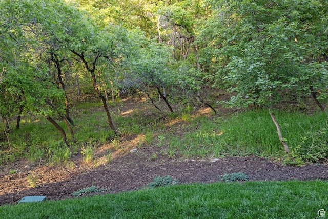 940 S N View Cir Unit 12, Woodland Hills, UT 84653 - view of nature