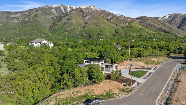 940 S N View Cir Unit 12, Woodland Hills, UT 84653 - property view of mountains