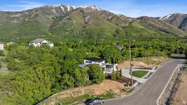 940 S N View Cir Unit 12, Woodland Hills, UT 84653 - view of mountain backdrop featuring a forest