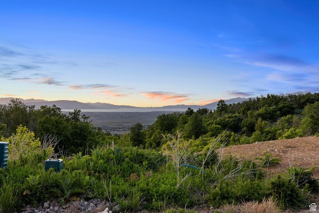 940 S N View Cir Unit 12, Woodland Hills, UT 84653 - mountain view