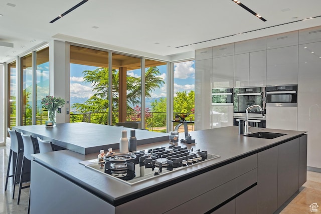 1559 E Tomahawk Dr N, Salt Lake City, UT 84103 - kitchen featuring a center island with sink, a wealth of natural light, sink, stainless steel appliances, and gray cabinets