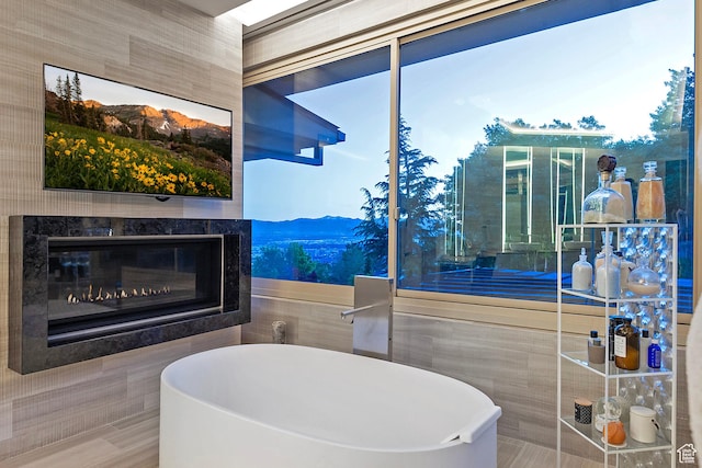1559 E Tomahawk Dr N, Salt Lake City, UT 84103 - bathroom featuring a fireplace and a bathtub