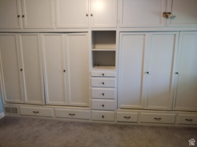 157 W 500 S, Logan, UT 84321 - view of closet