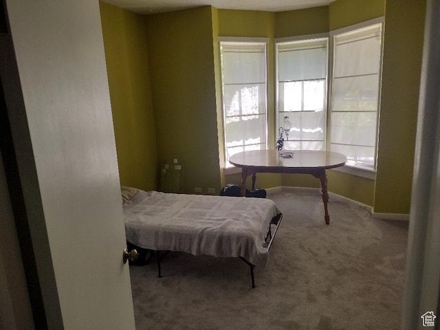 157 W 500 S, Logan, UT 84321 - bedroom featuring carpet