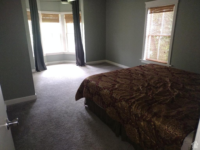 157 W 500 S, Logan, UT 84321 - carpeted bedroom featuring multiple windows