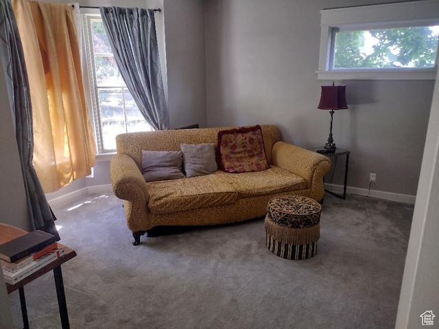 157 W 500 S, Logan, UT 84321 - living area with carpet flooring
