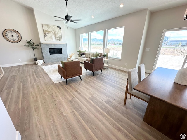 634 E Otto Ln, Grantsville, UT 84029 - living area featuring baseboards, a textured ceiling, light wood-style flooring, and a fireplace