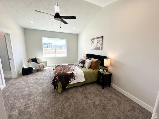634 E Otto Ln, Grantsville, UT 84029 - bedroom with lofted ceiling, carpet flooring, baseboards, and a textured ceiling