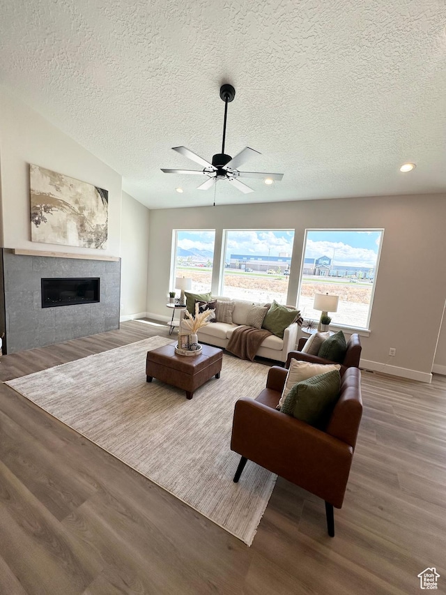 634 E Otto Ln, Grantsville, UT 84029 - living room with a glass covered fireplace, wood finished floors, baseboards, and a wealth of natural light