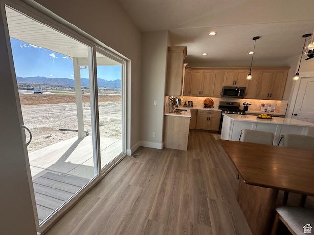 634 E Otto Ln, Grantsville, UT 84029 - kitchen featuring tasteful backsplash, light countertops, wood finished floors, a mountain view, and stainless steel appliances