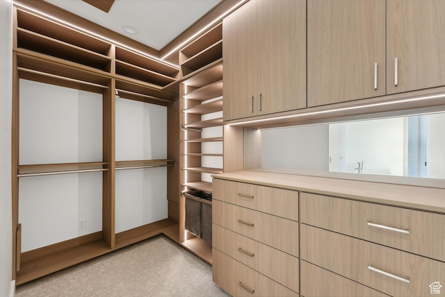 7702 N Fire Ring Glade, Park City, UT 84098 - walk in closet featuring light colored carpet