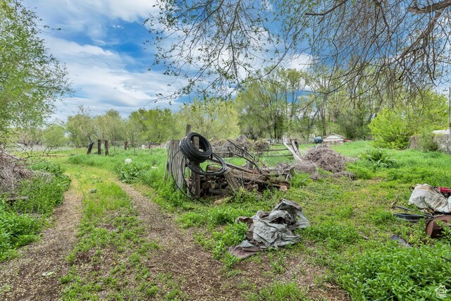 1790 W Sugar Factory Rd, West Jordan, UT 84088 - view of yard
