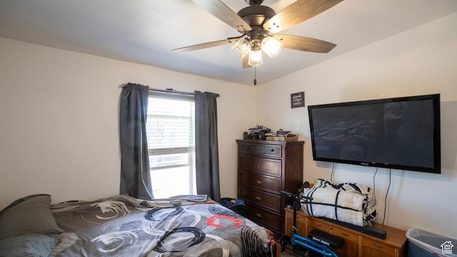 33432 W 8000 S, Duchesne, UT 84021 - bedroom featuring a ceiling fan